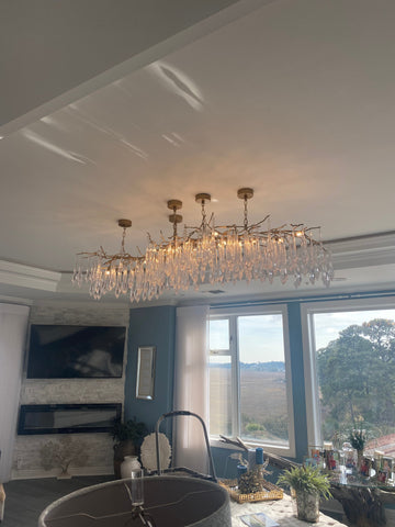 Dawn Livio Branching Hallway Chandelier